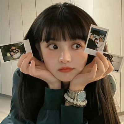公园路的猫们